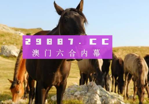 澳门管家婆一肖一码一中一 /精选解析解释落实