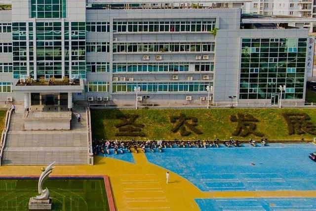 江苏丰益农科技，引领现代农业科技的创新先锋
