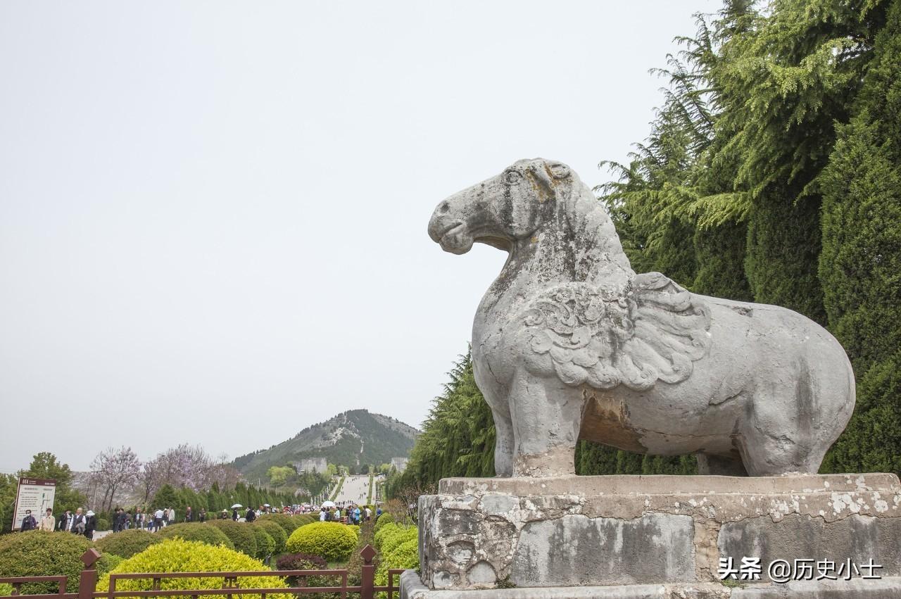 广东龙城集团有限公司，卓越发展的典范